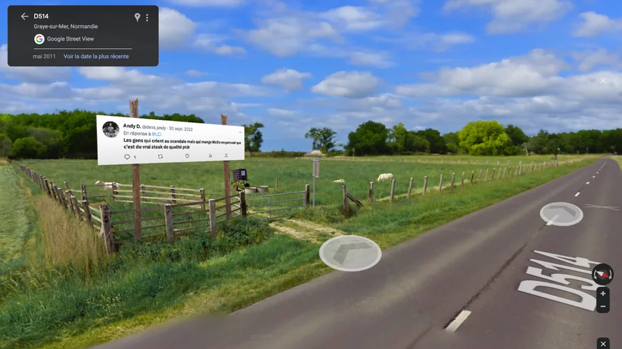 Google Field View