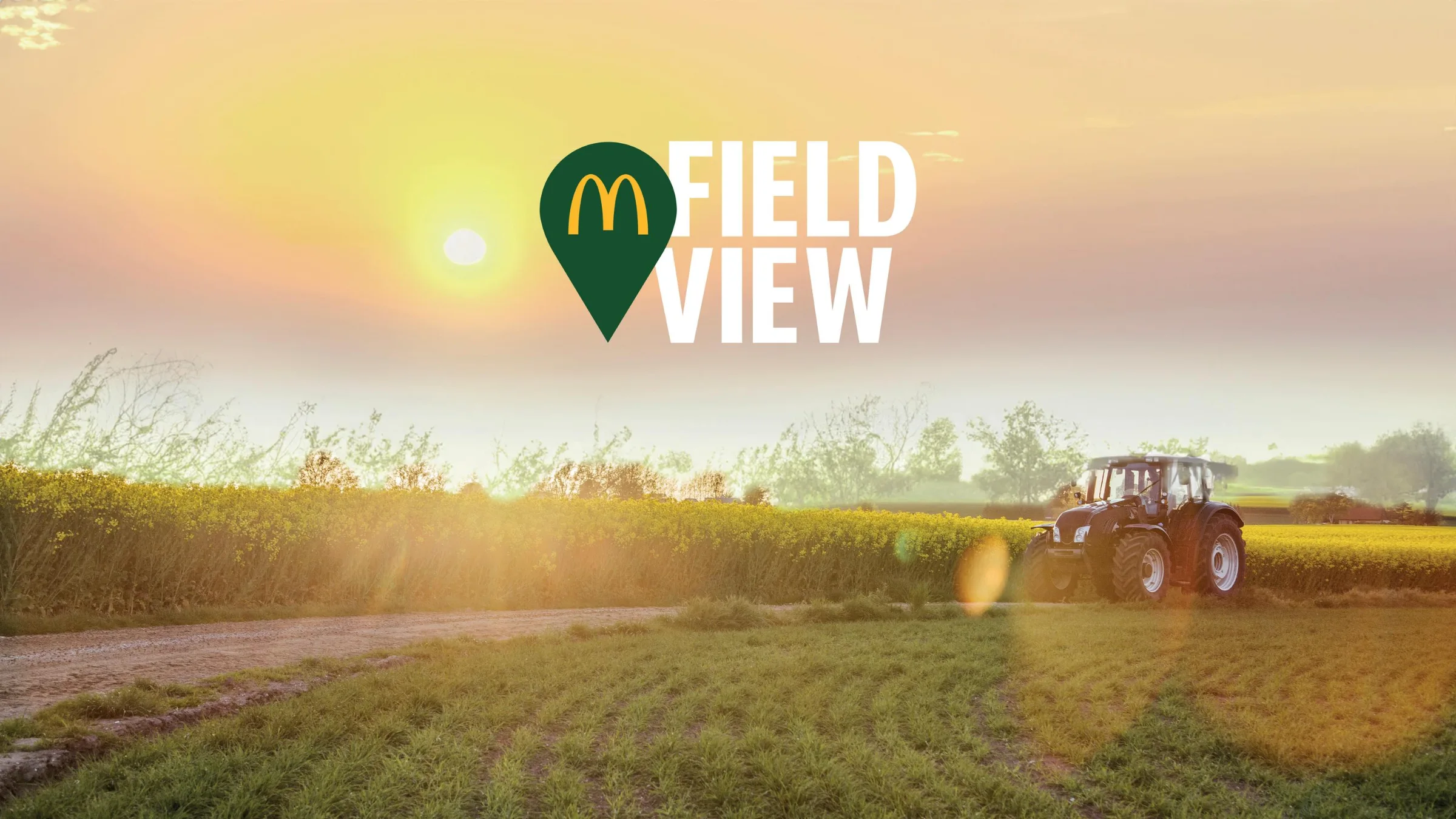 Google Field View